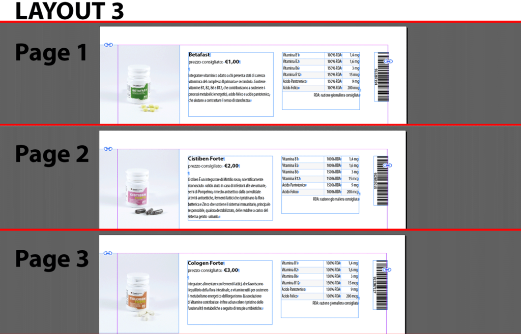 Example of InDesign document layout