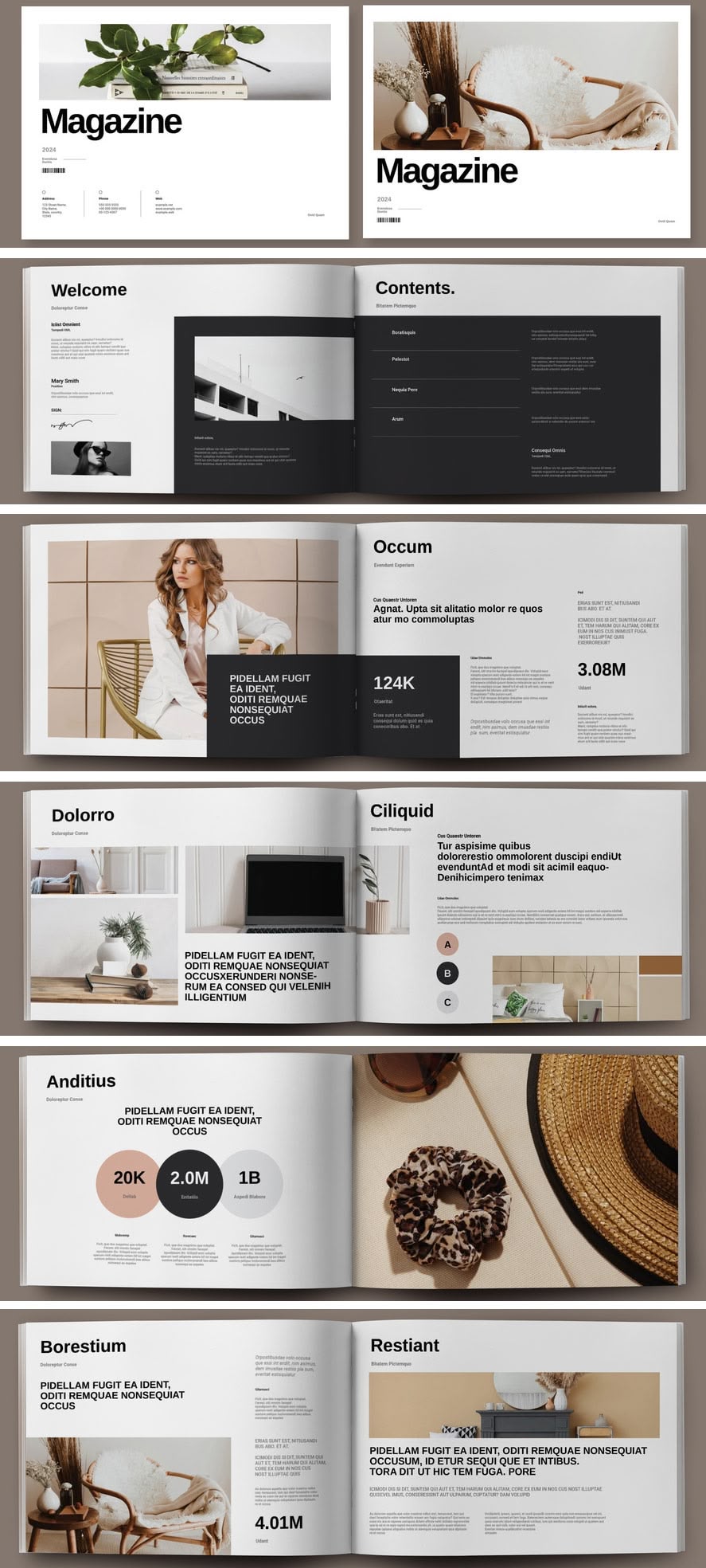 Magazine Layout with Statistic Elements for InDesign, cover and spread previews